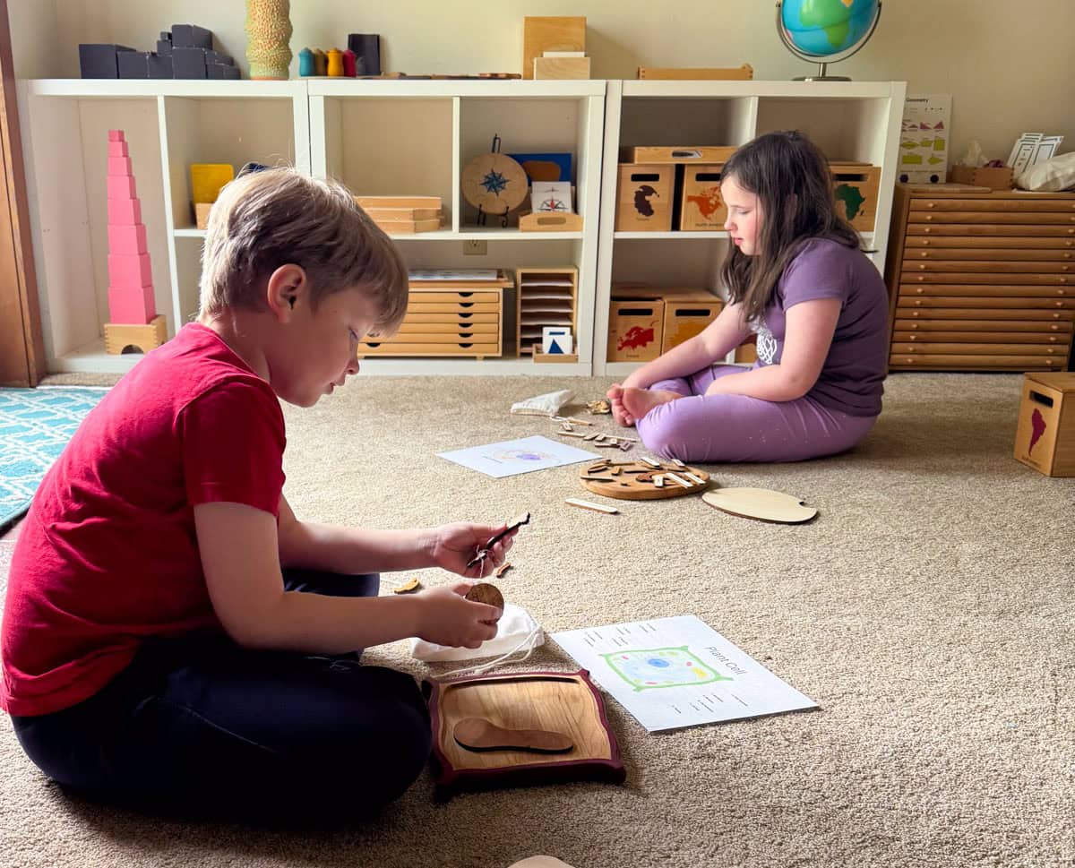 Kaia and Noah are working on animal and plant cell puzzles from Mirus Toys