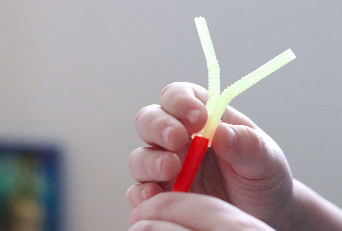 attaching 2 small straw to a larger straw to construct a heart model pump