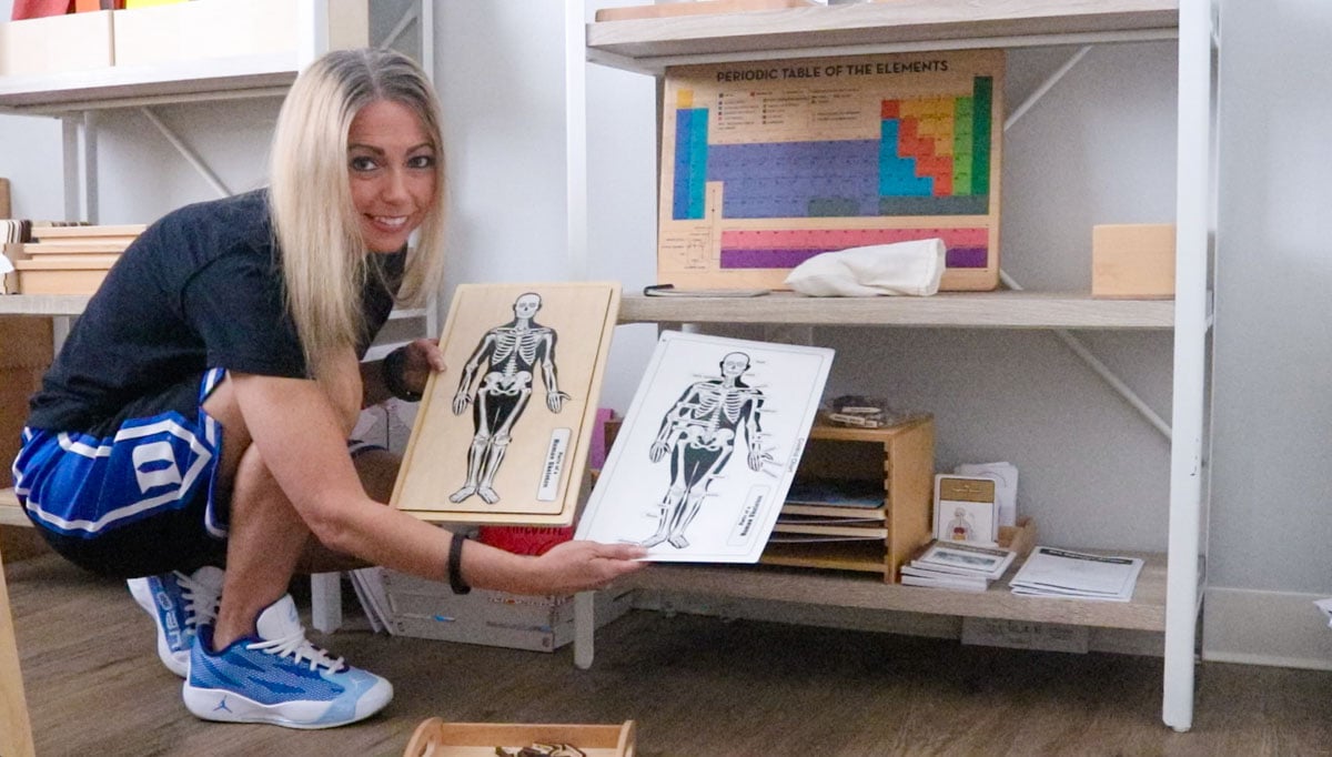 Kristin is holding the skeletal system puzzle and the control chart