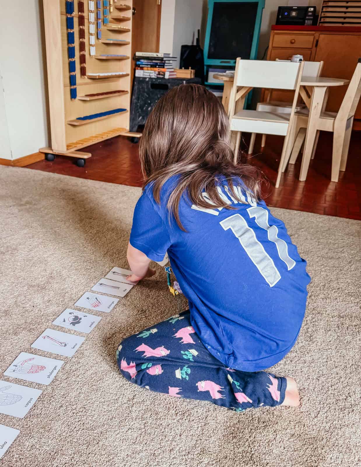 Kat is working with skeletal system nomenclature cards